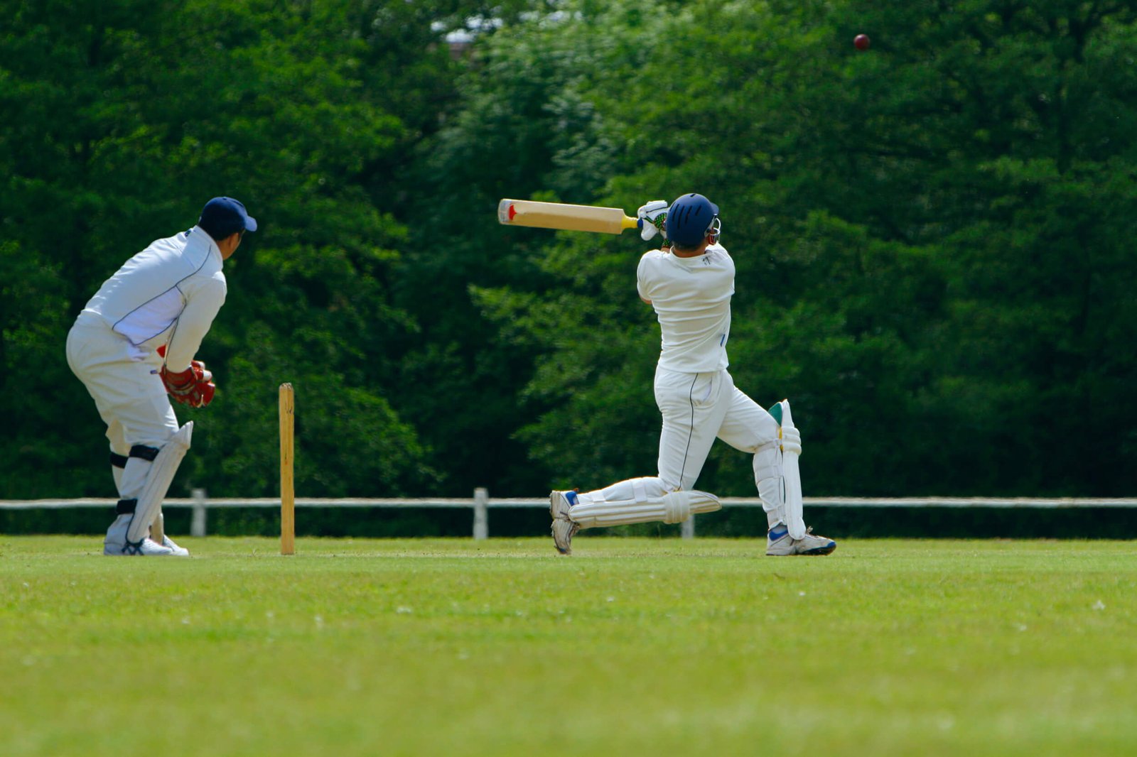 Cricket Net Construction