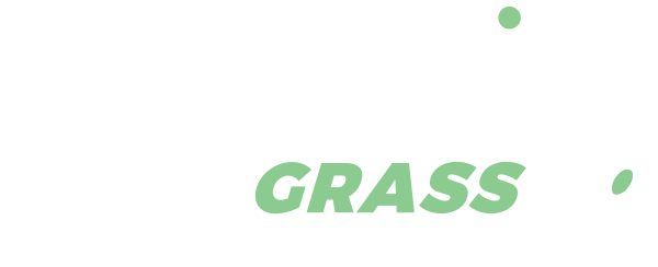 Champion Grass - Australia